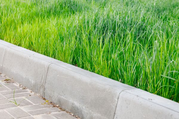 Cost of Concrete Curb Repair in Santa Rosa