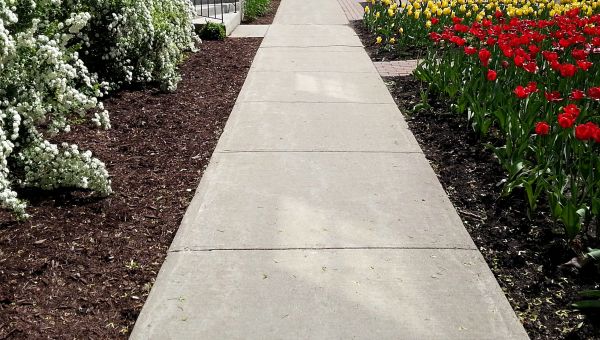 Concrete Pathway Repair in Santa Rosa