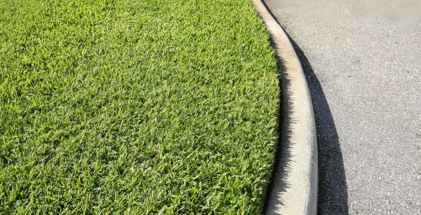 Driveway Curb Repair in Santa Rosa