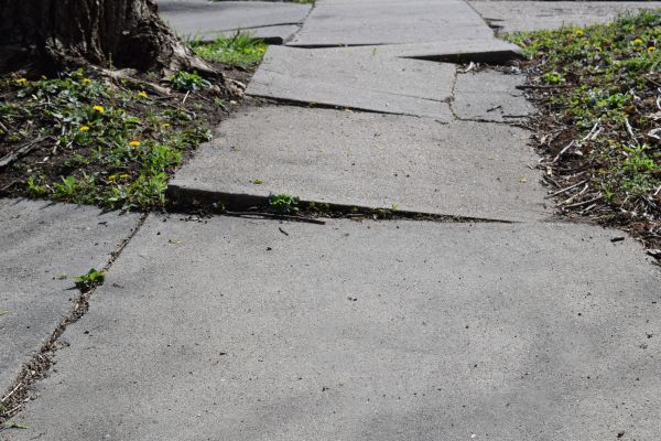 Cost of Trip Hazard Removal in Santa Rosa