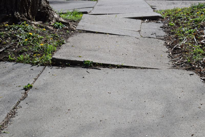 Sidewalk Crack Repair